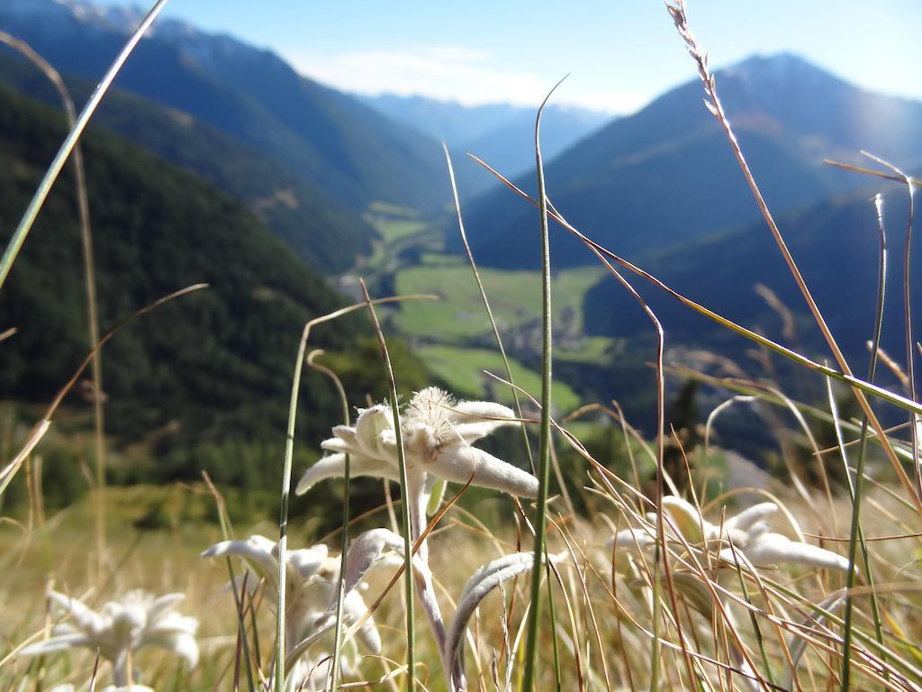 Ferienhaus Meins Kals am Grossglockner Luaran gambar