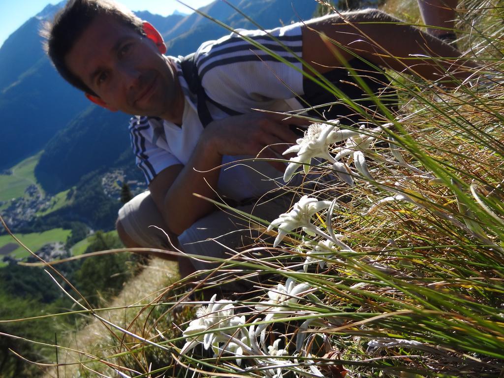 Ferienhaus Meins Kals am Grossglockner Luaran gambar